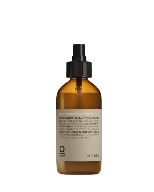 No-rinse moist conditioner